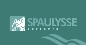 Pulizia del Viso personalizzata