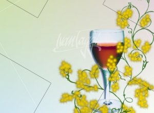 SPECIALE FESTA DELLA DONNA